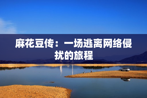 麻花豆传：一场逃离网络侵扰的旅程