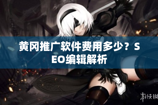 黄冈推广软件费用多少？SEO编辑解析