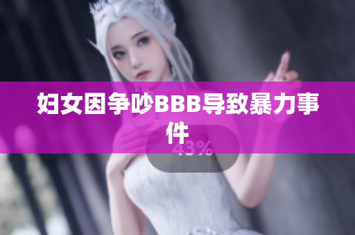 妇女因争吵BBB导致暴力事件