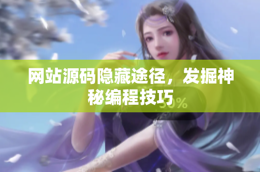 网站源码隐藏途径，发掘神秘编程技巧