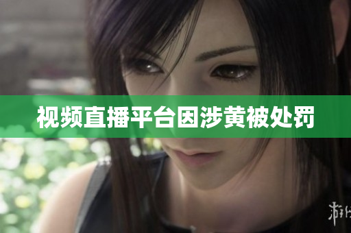 视频直播平台因涉黄被处罚