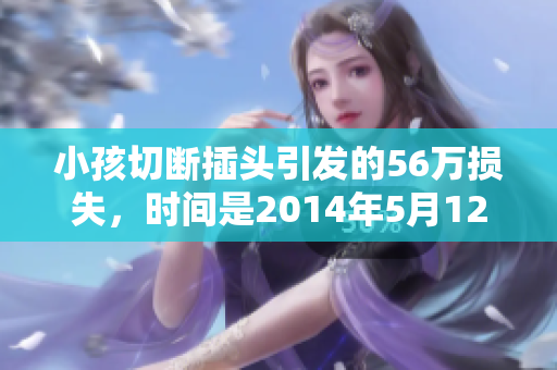 小孩切断插头引发的56万损失，时间是2014年5月12日