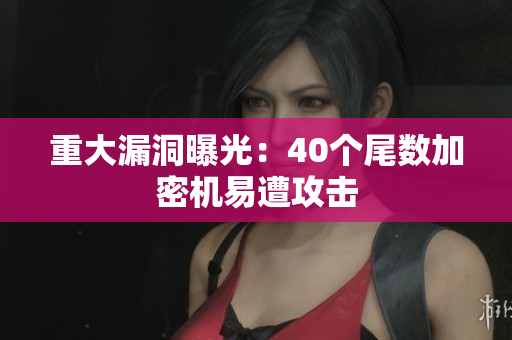重大漏洞曝光：40个尾数加密机易遭攻击