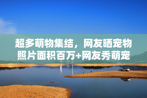 超多萌物集结，网友晒宠物照片面积百万+网友秀萌宠，百万面积集结！