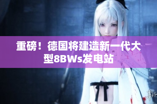 重磅！德国将建造新一代大型8BWs发电站