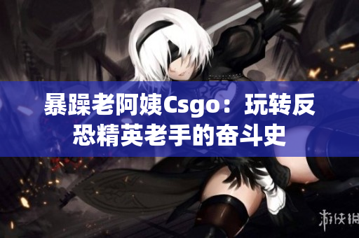 暴躁老阿姨Csgo：玩转反恐精英老手的奋斗史