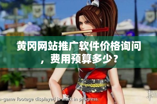 黄冈网站推广软件价格询问，费用预算多少？