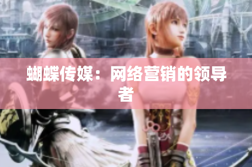 蝴蝶传媒：网络营销的领导者