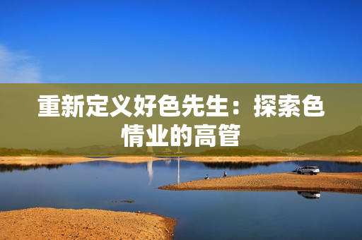 重新定义好色先生：探索色情业的高管