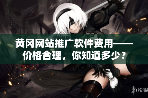黄冈网站推广软件费用——价格合理，你知道多少？