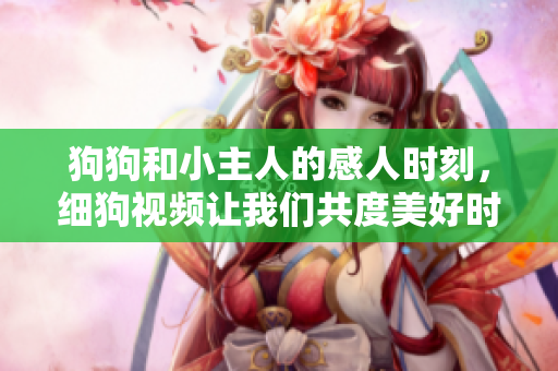 狗狗和小主人的感人时刻，细狗视频让我们共度美好时光！