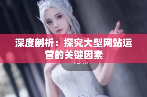 深度剖析：探究大型网站运营的关键因素