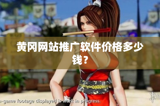黄冈网站推广软件价格多少钱？
