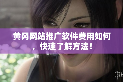 黄冈网站推广软件费用如何，快速了解方法！