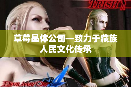 草莓晶体公司—致力于藏族人民文化传承