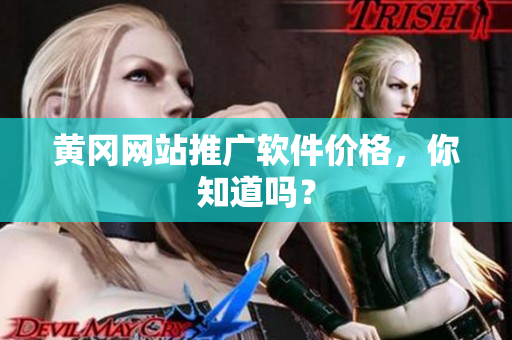 黄冈网站推广软件价格，你知道吗？