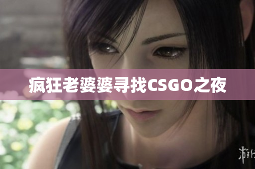 疯狂老婆婆寻找CSGO之夜