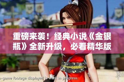 重磅来袭！经典小说《金银瓶》全新升级，必看精华版！