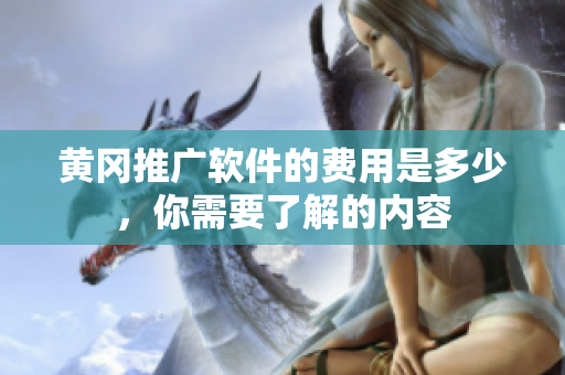 黄冈推广软件的费用是多少，你需要了解的内容