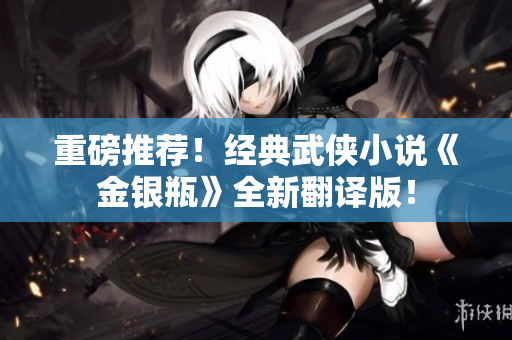 重磅推荐！经典武侠小说《金银瓶》全新翻译版！