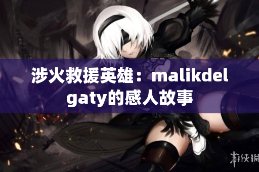 涉火救援英雄：malikdelgaty的感人故事