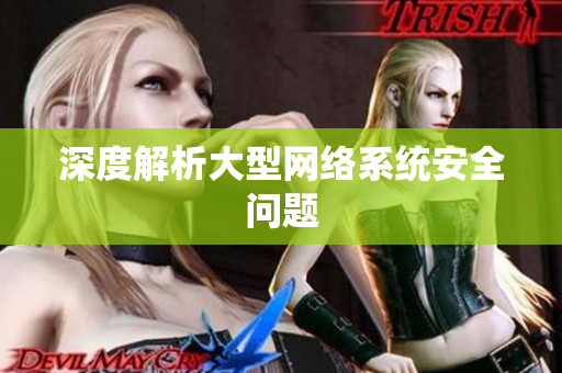 深度解析大型网络系统安全问题