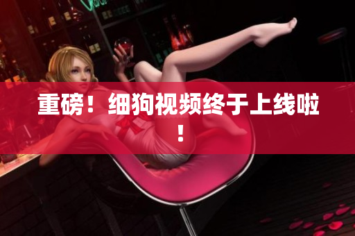 重磅！细狗视频终于上线啦！