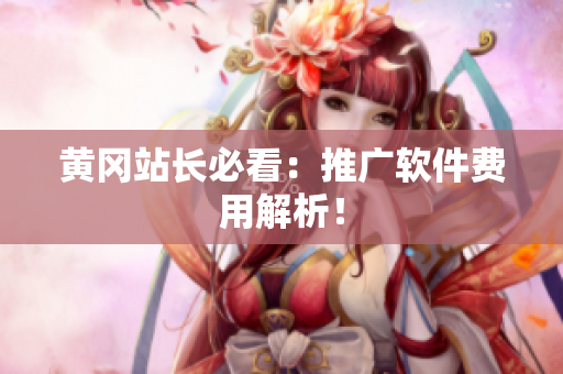 黄冈站长必看：推广软件费用解析！