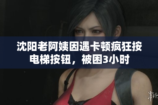 沈阳老阿姨因遇卡顿疯狂按电梯按钮，被困3小时