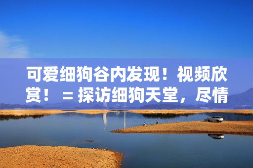 可爱细狗谷内发现！视频欣赏！ = 探访细狗天堂，尽情驻足