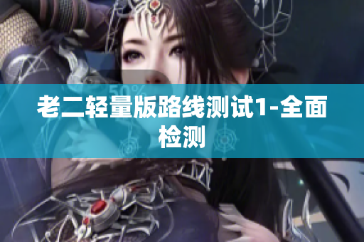 老二轻量版路线测试1-全面检测
