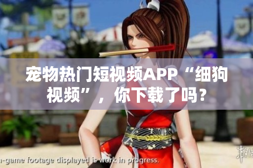 宠物热门短视频APP“细狗视频”，你下载了吗？