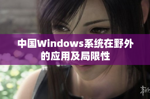 中国Windows系统在野外的应用及局限性