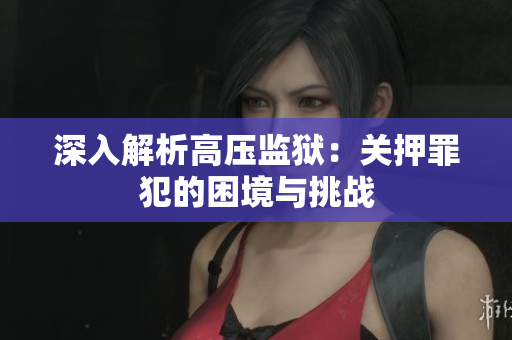 深入解析高压监狱：关押罪犯的困境与挑战