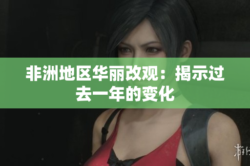 非洲地区华丽改观：揭示过去一年的变化