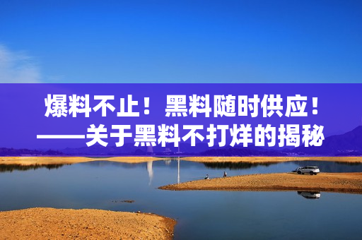 爆料不止！黑料随时供应！——关于黑料不打烊的揭秘