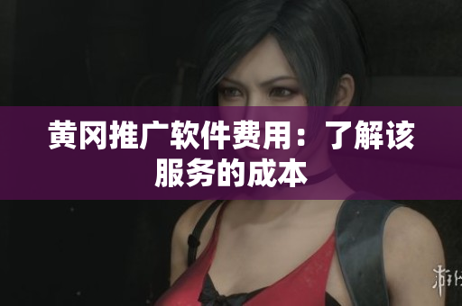 黄冈推广软件费用：了解该服务的成本