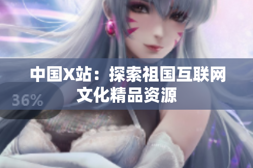 中国X站：探索祖国互联网文化精品资源