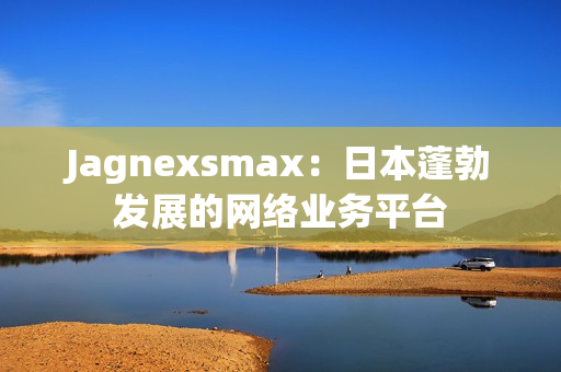 Jagnexsmax：日本蓬勃发展的网络业务平台