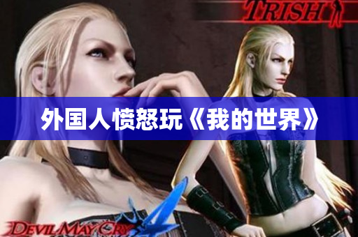 外国人愤怒玩《我的世界》