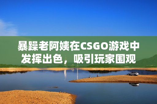 暴躁老阿姨在CSGO游戏中发挥出色，吸引玩家围观