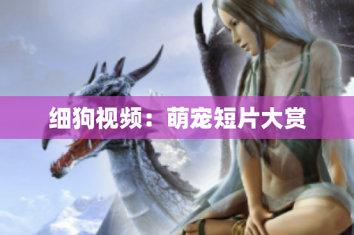 细狗视频：萌宠短片大赏