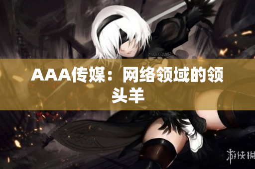 AAA传媒：网络领域的领头羊