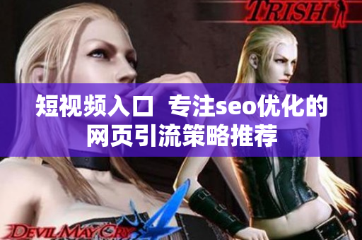 短视频入口  专注seo优化的网页引流策略推荐