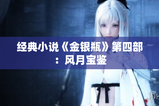 经典小说《金银瓶》第四部：风月宝鉴