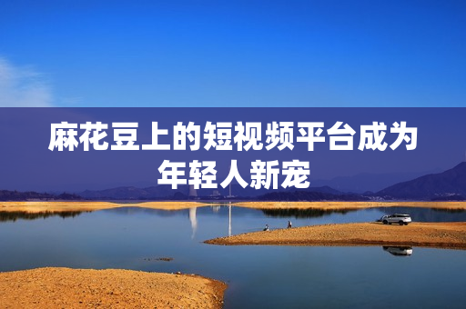 麻花豆上的短视频平台成为年轻人新宠