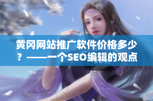 黄冈网站推广软件价格多少？——一个SEO编辑的观点