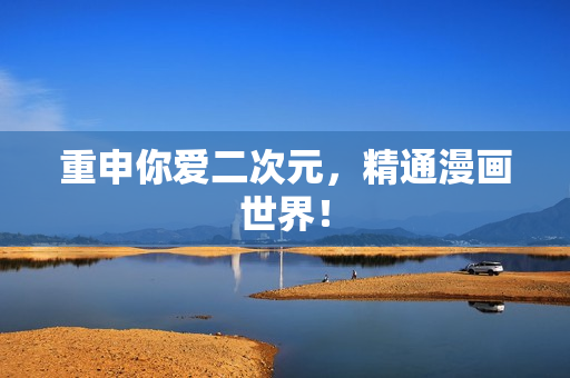 重申你爱二次元，精通漫画世界！