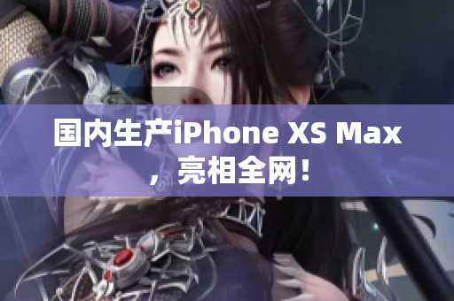 国内生产iPhone XS Max，亮相全网！