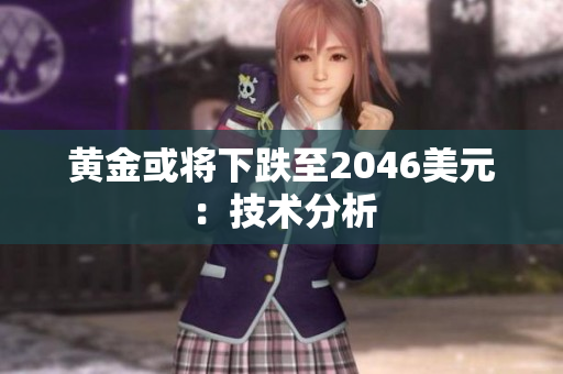 黄金或将下跌至2046美元：技术分析